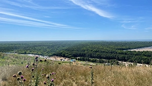 A look at the landfill: present and future